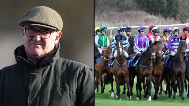 Punter landed £900,000 from one of greatest Cheltenham bets of all time
