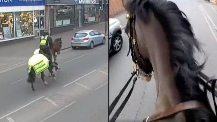 Moment police officers on horses go into pursuit chasing driver on mobile phone