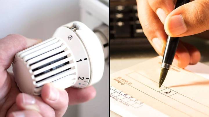 Brits could get £100 for cutting energy use as part of new scheme
