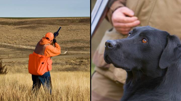 Hunter dies after dog walks over gun and steps on trigger