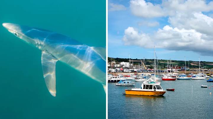 BREAKING: Woman Attacked By Shark Off UK Coast