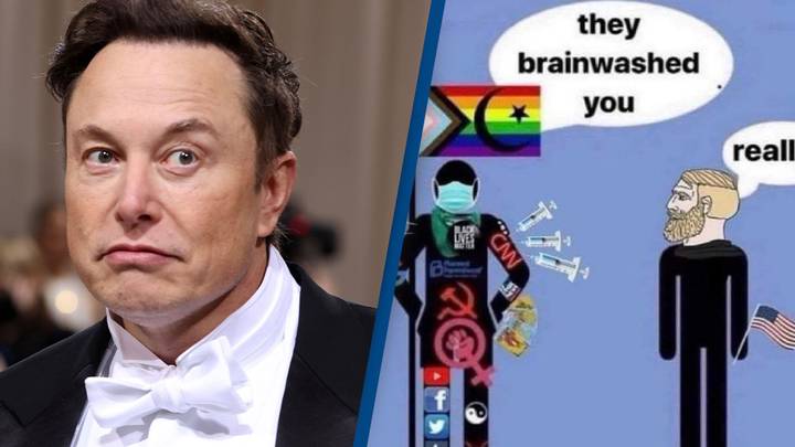 Elon Musk gets slammed for sharing controversial meme on Twitter