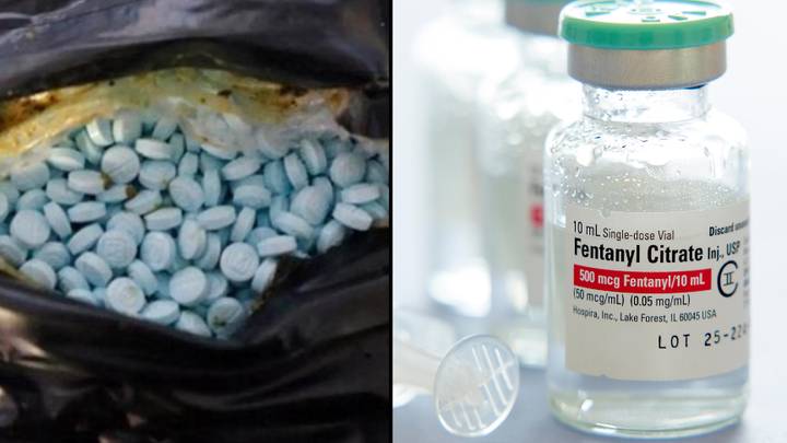US authorities seized enough fentanyl in 2022 to kill every single American in the country