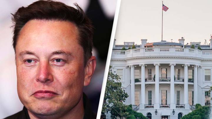 Elon Musk Announces Who Likely Has His Vote For President In 2024