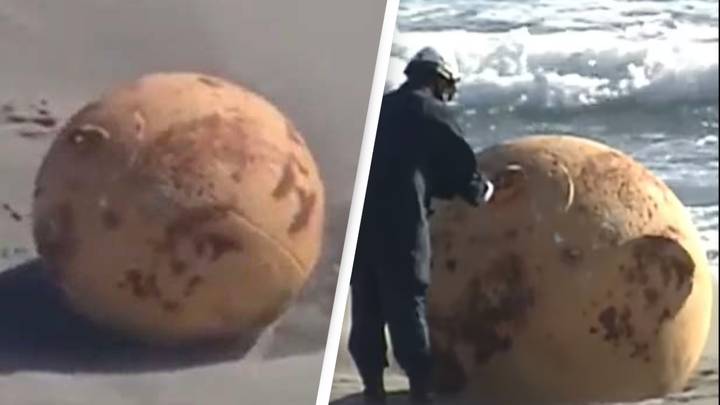 Mysterious giant sphere that washed up on Japanese beach appears to have been identified