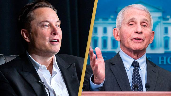 Elon Musk slams Dr Anthony Fauci in gender pronouns dig