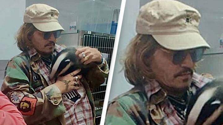 Johnny Depp Holds Orphaned Badger At Vet After Defamation Case Win