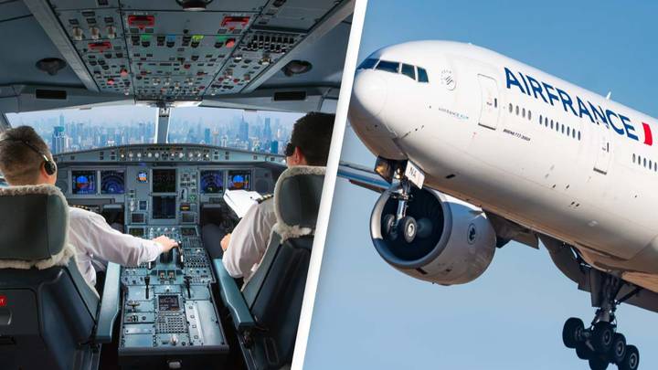 Two Air France pilots suspended after they started fighting in cockpit mid-flight