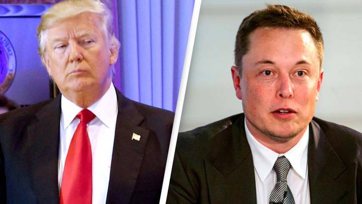 Elon Musk Called Upon To Reinstate Donald Trump’s Twitter Account