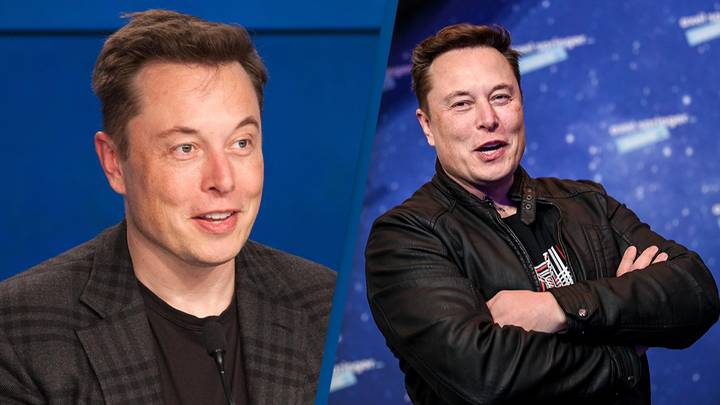 Verified people on Twitter are having fun impersonating Elon Musk