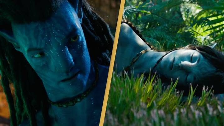 People are complaining they still don't know what Avatar 2 is about after recent trailer