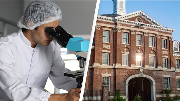 Angry janitor turns off super-cold freezer destroying decades of scientific work