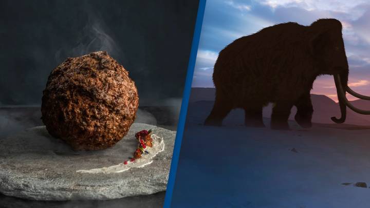 Scientists have created an edible meatball from the long-extinct woolly mammoth