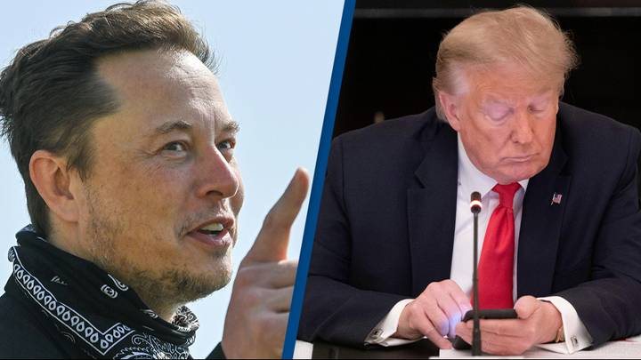 Elon Musk reinstates Donald Trump's Twitter account after being barred for two years