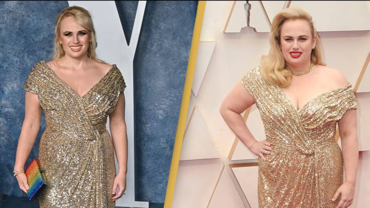 Rebel Wilson praised for re-wearing the same Oscars gown from three years ago