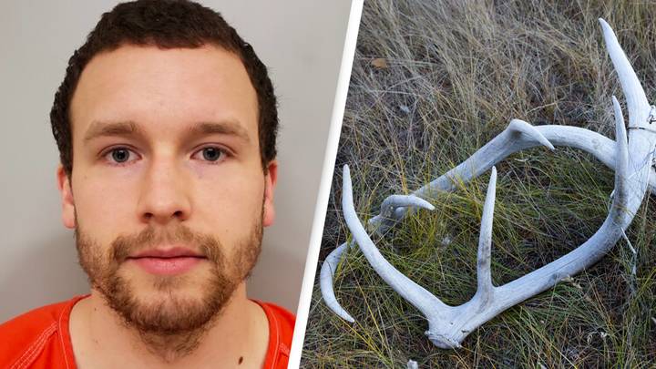 Dad covered in blood confesses to police that he beat a man to death with moose antlers