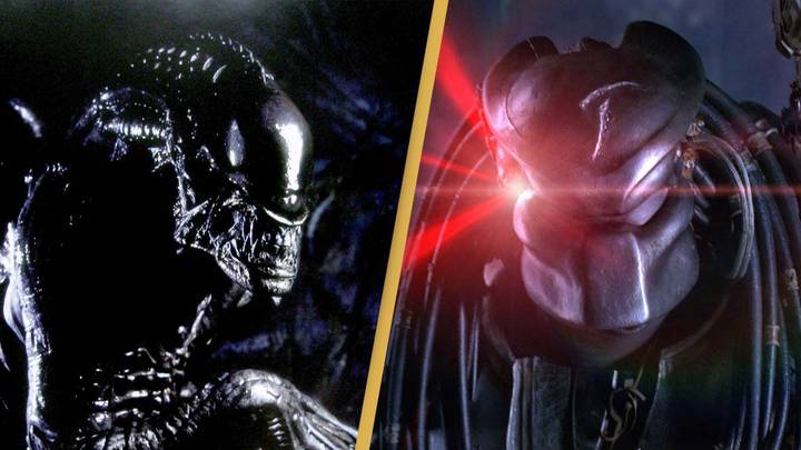 Disney Has A Finished Alien Vs Predator Animated Series That'S Been Kept  Locked Away For Years