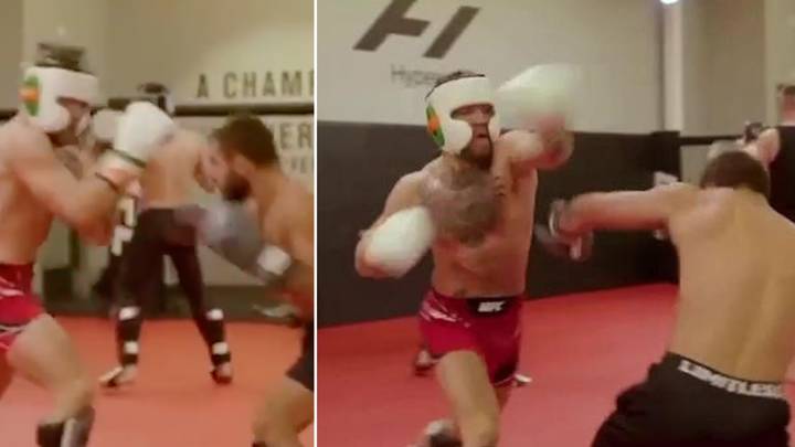 Conor McGregor releases sparring footage ahead of Michael Chandler fight and fans are all saying the same thing