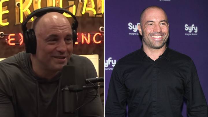 Joe Rogan Explains Why He Won't Take Part In An Exhibition Bout, But Says He Could 'F**k Some People Up'
