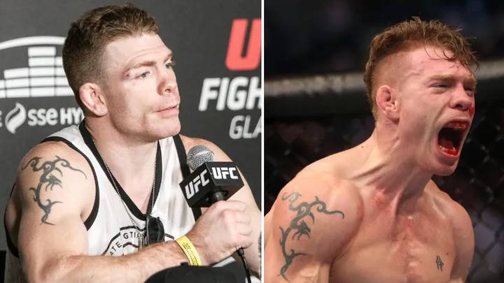 Twitter troll's honest response after getting called out by UFC star will never get old