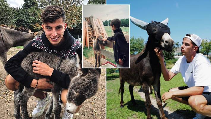 Kai Havertz reveals his teammates call him ‘donkey’ and explains his wholesome relationship with the animal