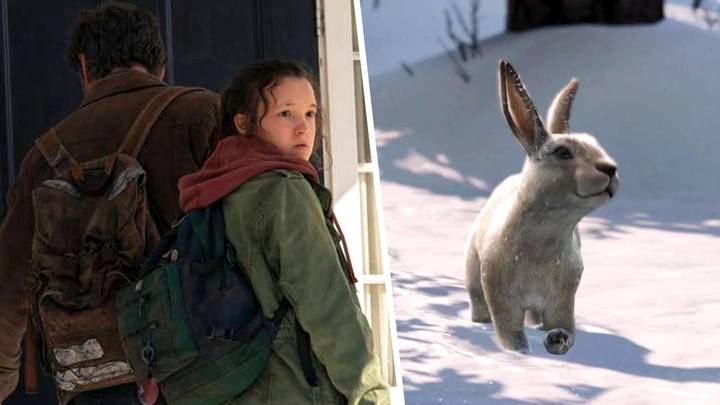 The Last Of Us fans want to see rabbit impaled in live-action