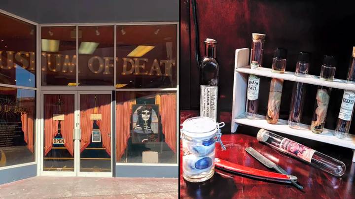 The Museum of Death has a tally to keep track of visitors who vomit or pass out