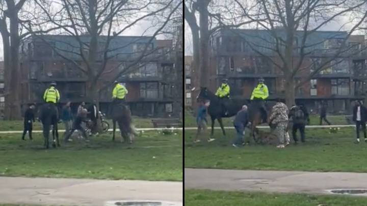 Out-of-control dog savages police horse in park in shocking footage