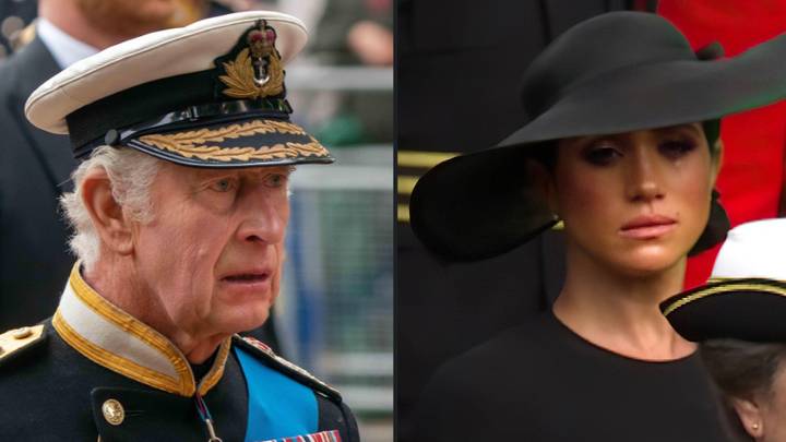 King Charles' cousin has slammed the British royal family's alleged treatment of Meghan Markle