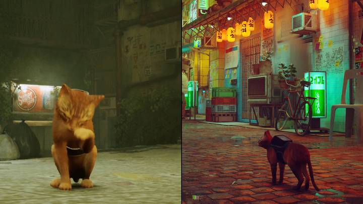 Open World Game Where You Play As A Stray Cat Has Been Released