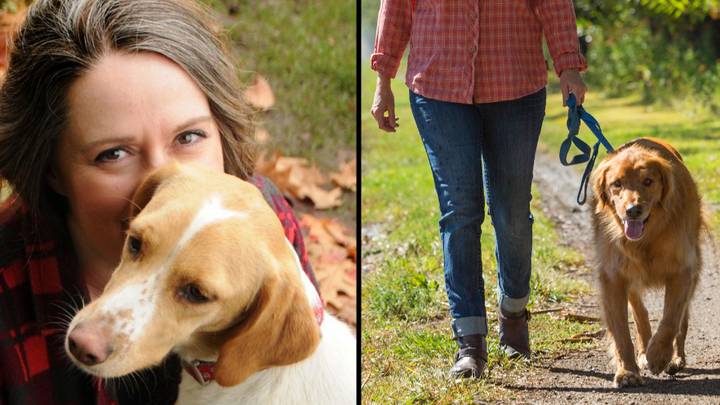 Dog Trainer Reveals Why You Shouldn't Walk Your Dog Every Day