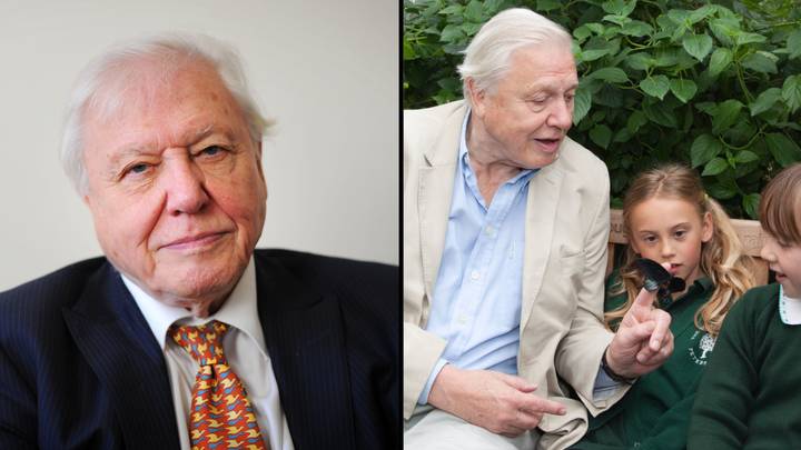 Sir David Attenborough Has Been Named 'Champion Of The Earth'