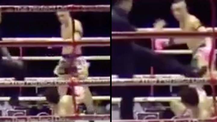 Muay Thai referee praised after saving fighter from 'kill shot' illegal kick to the face