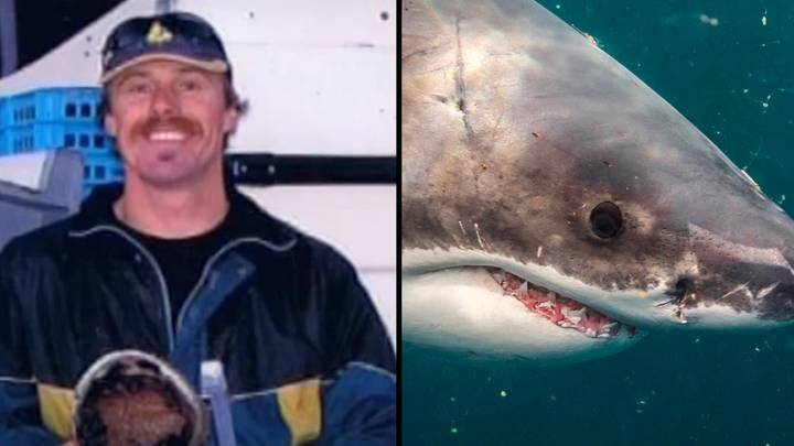 Diver who was swallowed head first by great white shark describes horrifying moment he was being ‘eaten alive’
