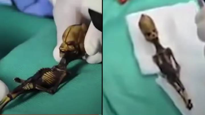 Mystery of ‘alien’ six-inch skeleton finally solved after years of debate