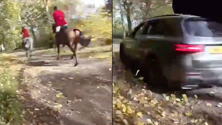 Woman arrested after car deliberately ploughs into hunt saboteur in horror hit and run