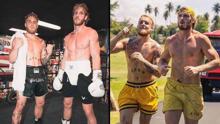 Jake Paul Wants To Fight His Brother Logan In A Boxing Match For A Huge Pay Day