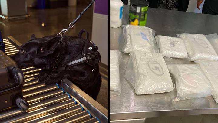 Brit caught smuggling '10 kilos of cocaine' through airport