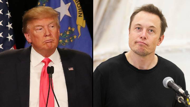 Donald Trump Insists He’s Not Going Back On Twitter After Elon Musk Buys The Whole Company