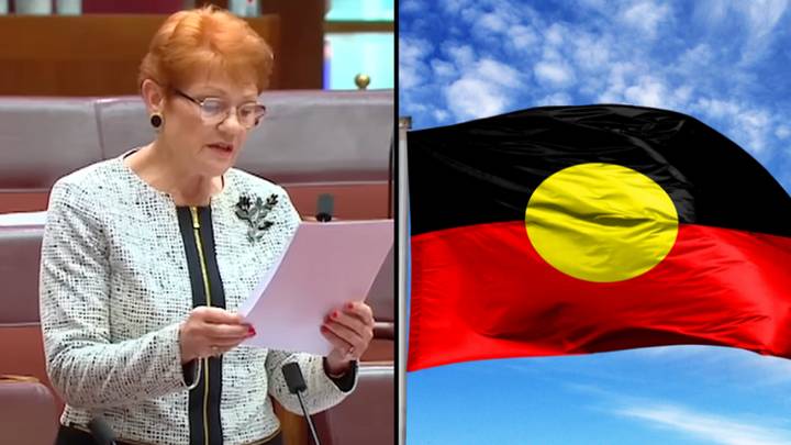 Pauline Hanson Warns Indigenous Voice Plan Would Be Australia's Version Of Apartheid
