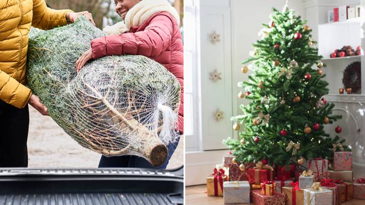 Expert shares the three places you should never put your Christmas tree