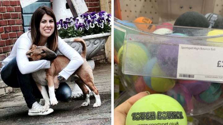 Owner's Urgent Warning As Dog Dies After Chewing £3 Toy Bought From Pets At Home