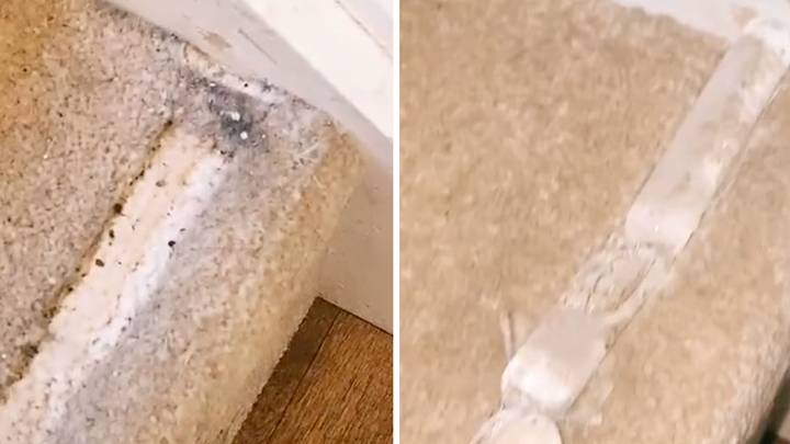 Woman shares incredible ice hack to fix carpet dents