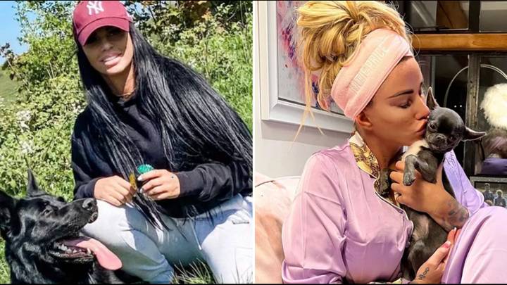 Katie Price launches into furious rant after follower said she shouldn’t be allowed to own animals