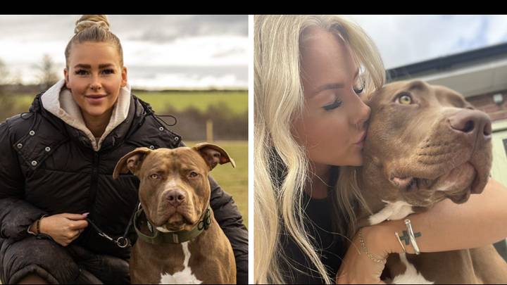 Owner of XL bully dog slams ban and admits she lets other people's children pet her pooch