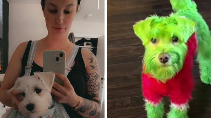 Mum hits back at trolls who slammed her for dyeing her dog green like the Grinch