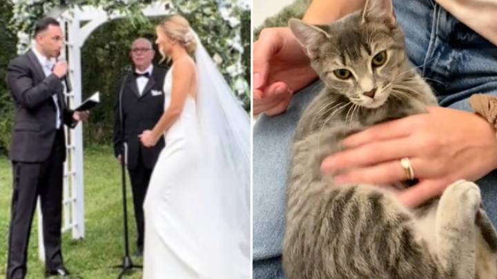 Couple adopts stray cat who gate-crashed their wedding vows