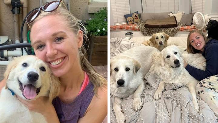 Couple admit they let their five dogs sleep in their bed between them