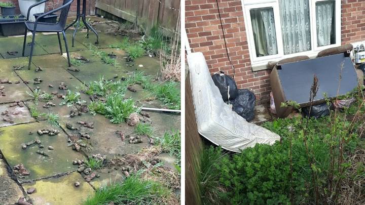 Dog owner hit with £750 fine for letting pet poo in their own garden