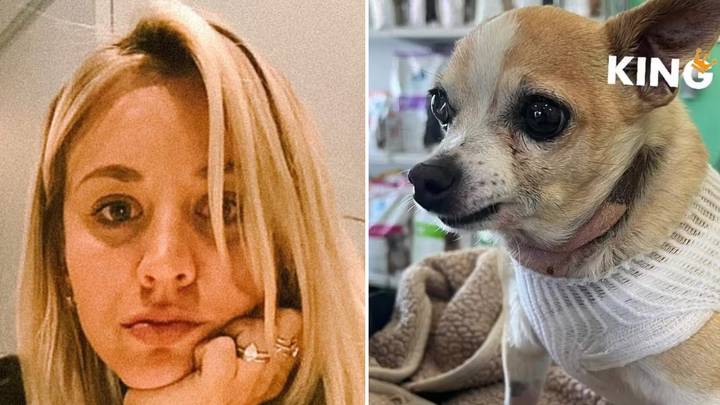 Kaley Cuoco issues warning to all pet owners after dog was 'violently ill' for weeks
